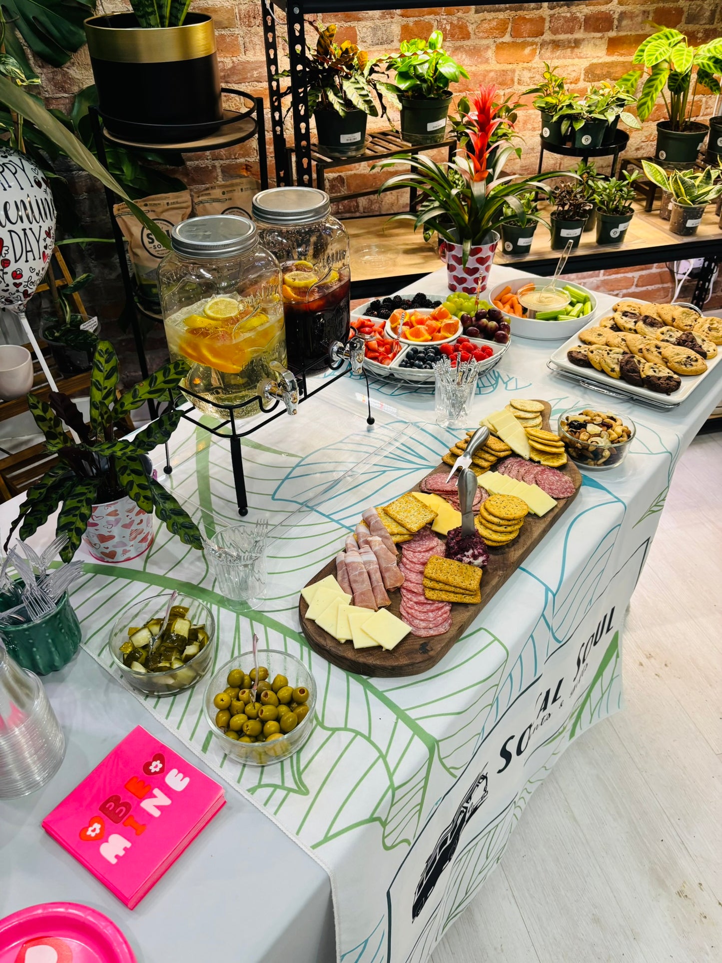 Galentine's Succulents & Sangria - TUESDAY February 10th