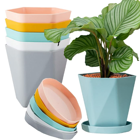best plants for plastic pots Geometric Plastic Pots 5.5” – SoCal Soul Plants & Gifts