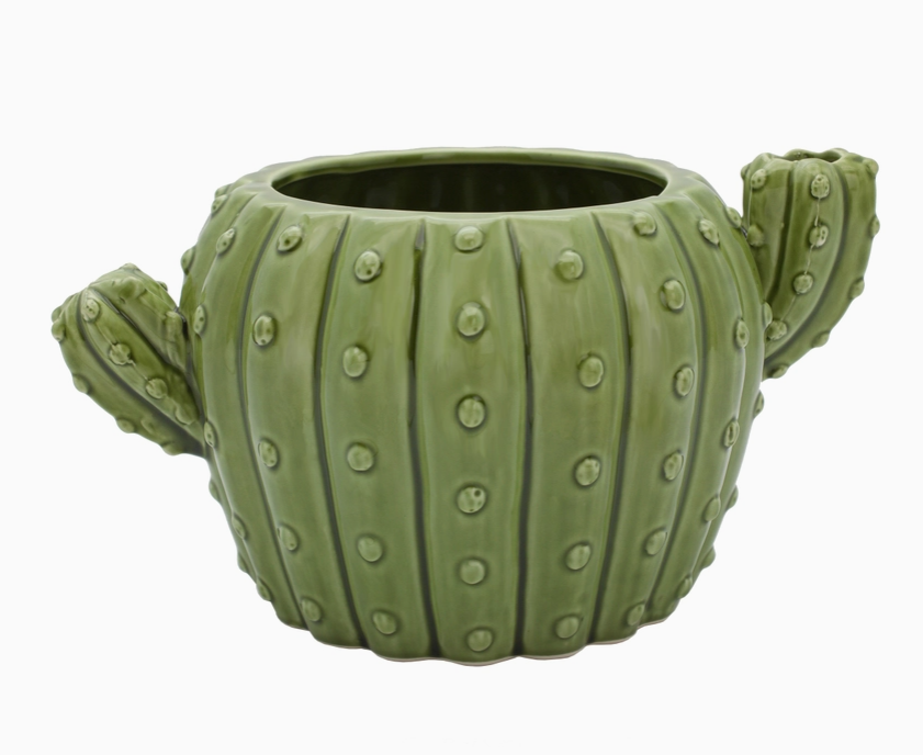 Cactus Pot