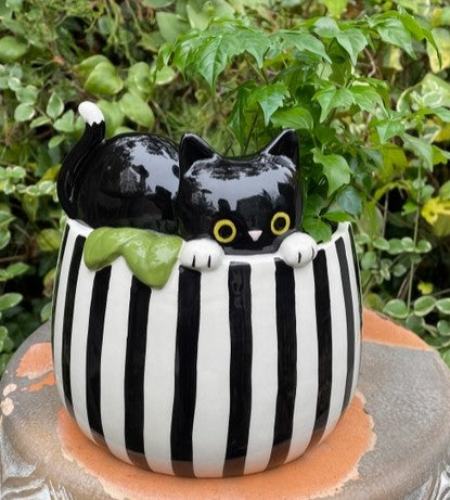 Peek-A-Boo Kitty Pot