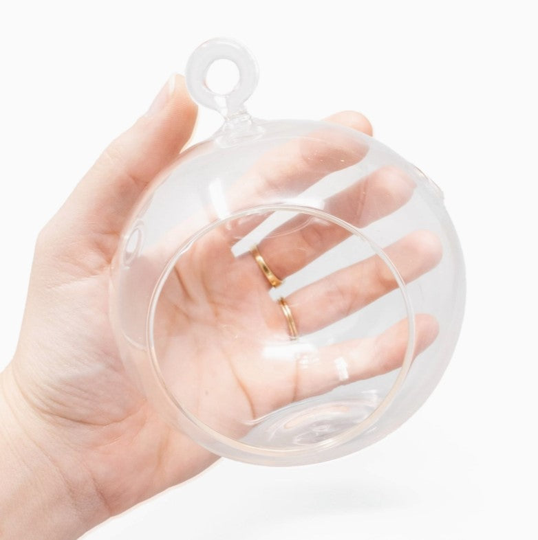 Glass Globe Hanging Terrarium