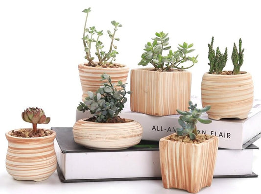 Ceramic Wooden Pattern Small Pots