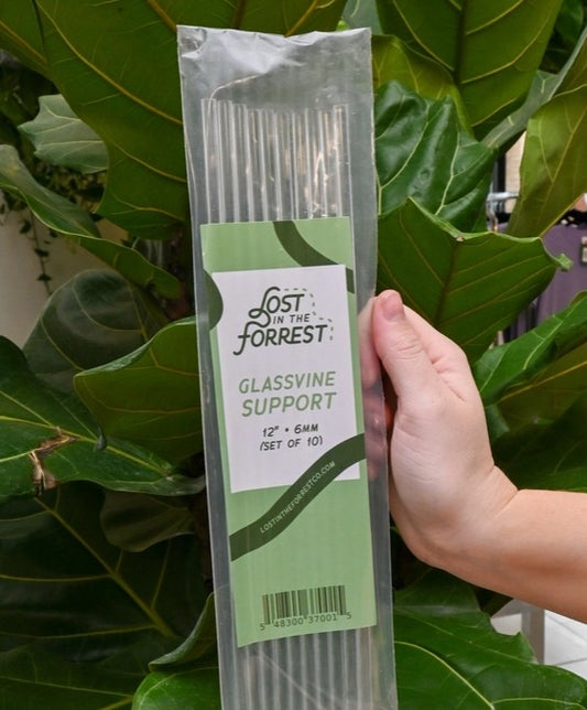 Glassvine Plant Support Poles