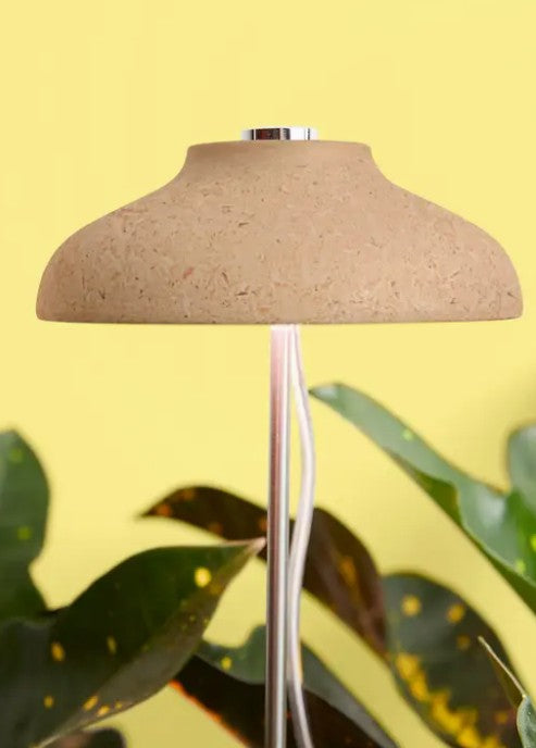 We The Wild Desk Plant Grow Kit