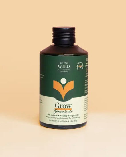 We The Wild Desk Plant Grow Kit