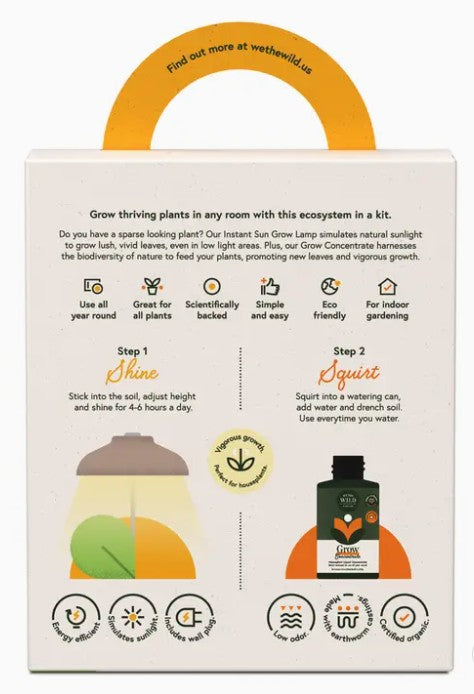 We The Wild Desk Plant Grow Kit