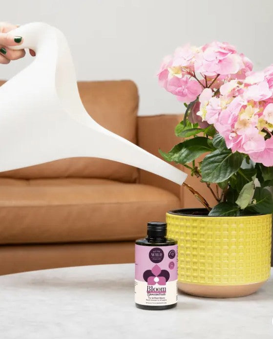 We The Wild Bloom Fertilizer