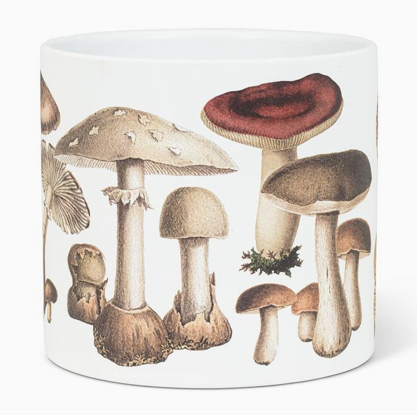 Mushroom Planter