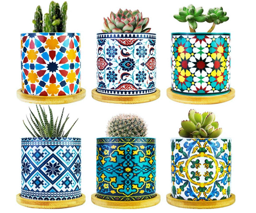 Mandala Pots