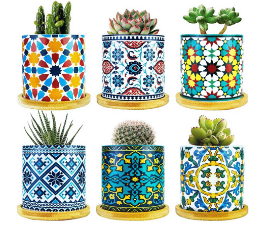 Mandala Pots