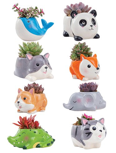 Mini Succulent Animal Pots