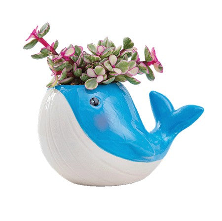 Mini Succulent Animal Pots