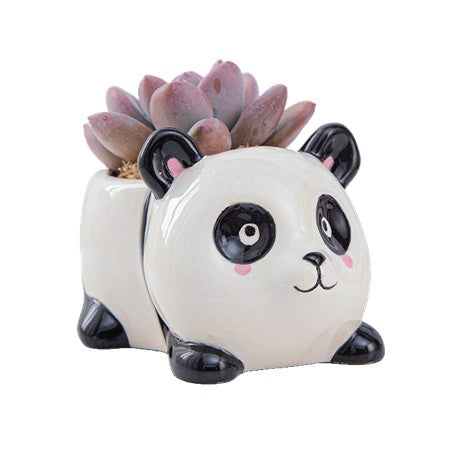 Mini Succulent Animal Pots