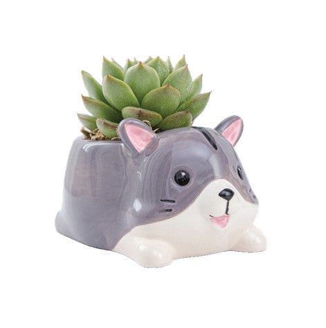 Mini Succulent Animal Pots