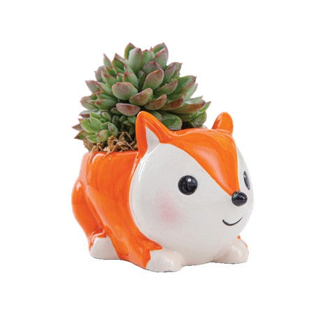 Mini Succulent Animal Pots