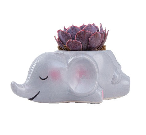 Mini Succulent Animal Pots
