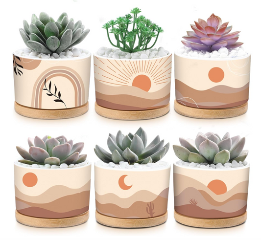 Sunset Pots