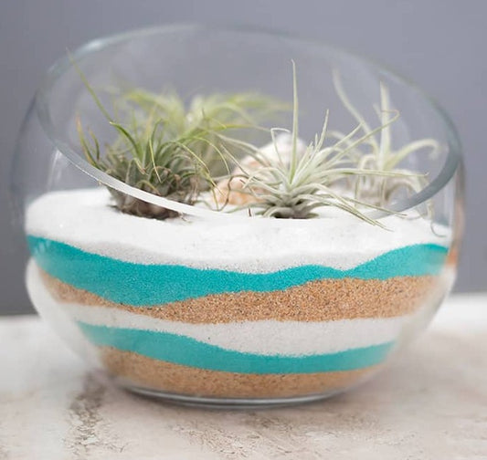 Sand Art Air Plant Terrariums - July 10th