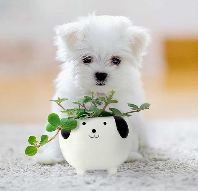 Puppies & Plants - March 15th