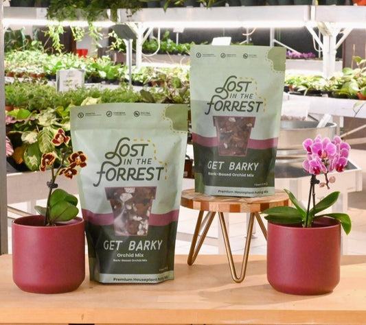 Get Barky - Orchid Bark
