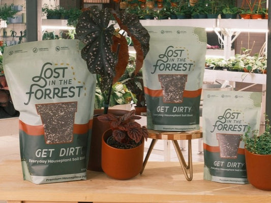Get Dirty - Everyday Houseplant Soil Blend