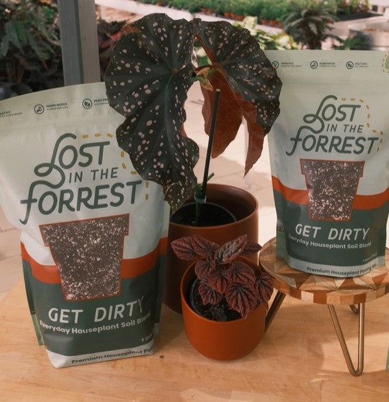 Get Dirty - Everyday Houseplant Soil Blend