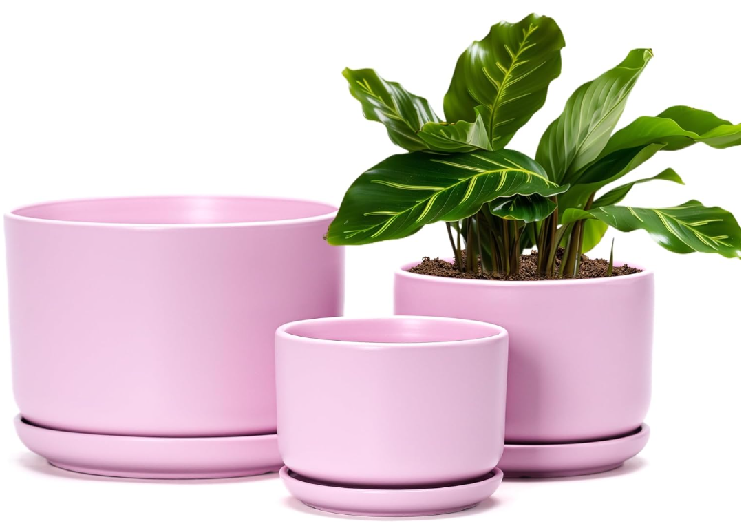 Pink Ceramic Pot