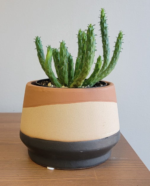 Mirage Planter