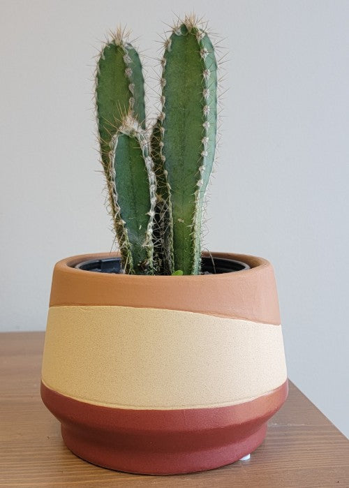 Mirage Planter