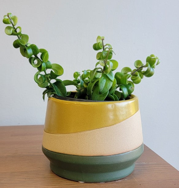 Mirage Planter