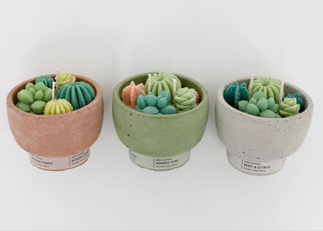 succulent candle Succulent Candles – SoCal Soul Plants & Gifts