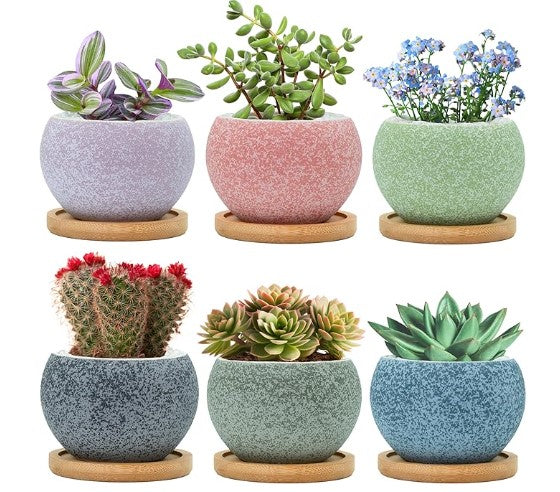 t4u succulent pots Speckled Pot – SoCal Soul Plants & Gifts