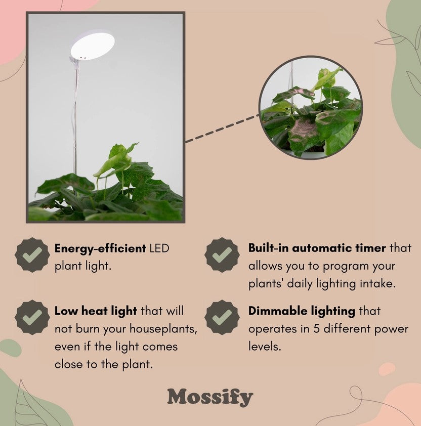 heat lamp for pot plants Pot Attaching Grow Light