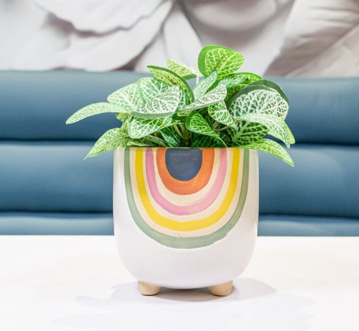 Rainbow Planters