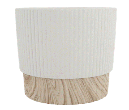 Judson Planter