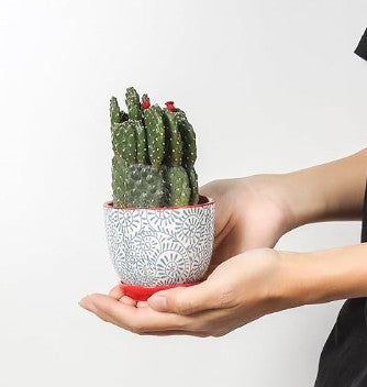 Dual-Tone Pots