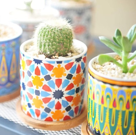 Mandala Pots