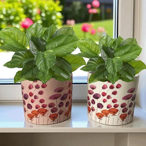 Adley Pots