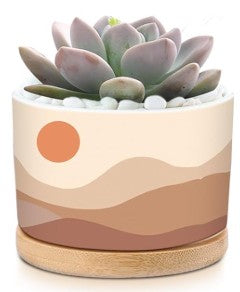 Sunset Pots