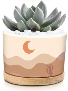 Sunset Pots