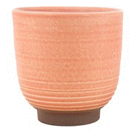 Paradise Planter