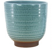 Paradise Planter