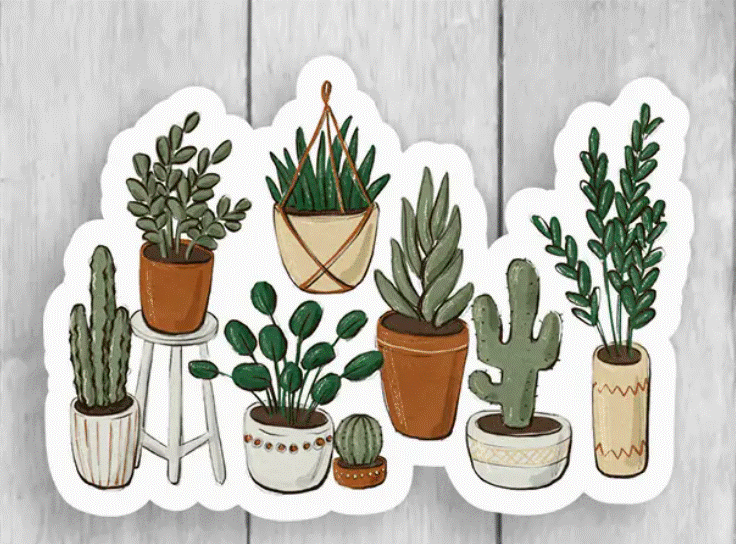 Expression Design Co Stickers