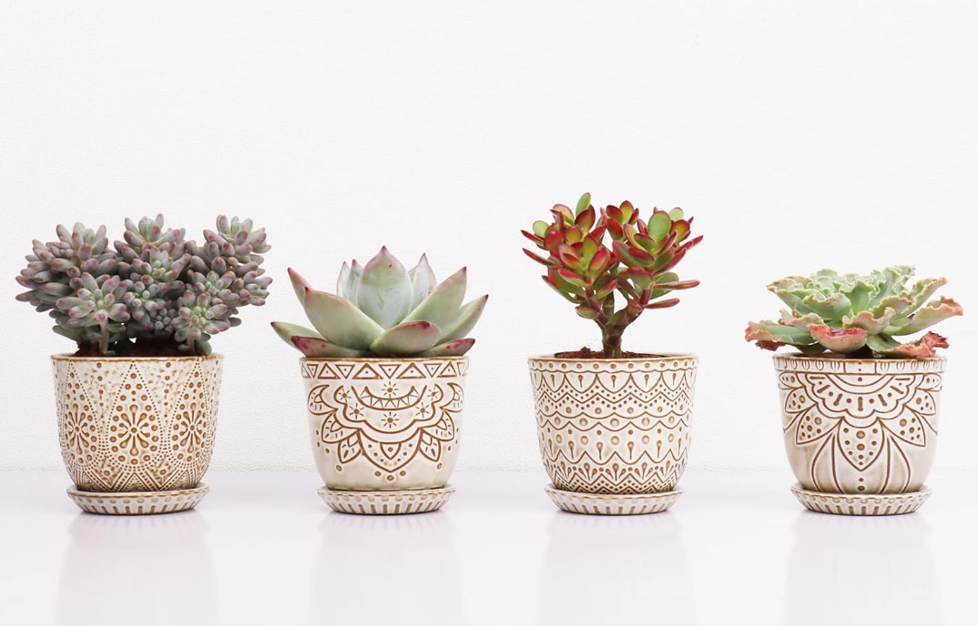 Bohemian Pots