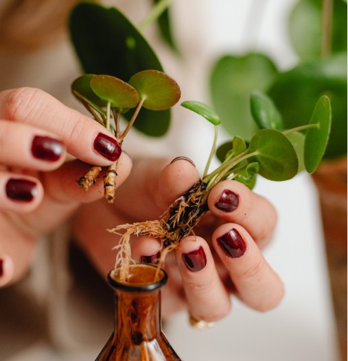Propagation 101 - August 11th