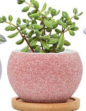 Speckled Pot