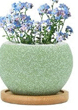 Speckled Pot