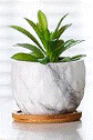 Marble Pot