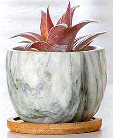 Marble Pot