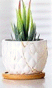 Marble Pot